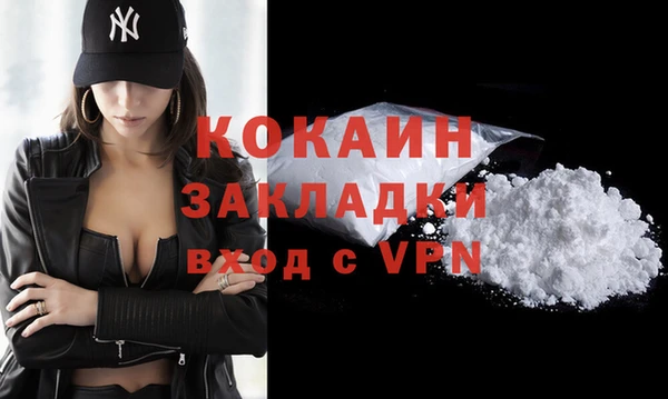 шишки Белокуриха