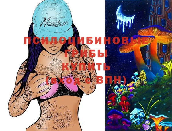 шишки Белокуриха