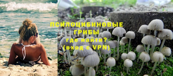 шишки Белокуриха