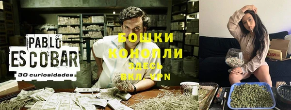 гидра Бикин