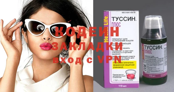 шишки Белокуриха