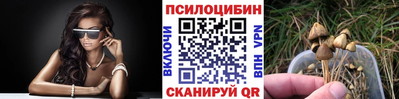 закладки  Будённовск  Псилоцибиновые грибы Magic Shrooms 
